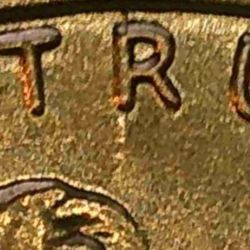 2022-P-Cent:-Evolution-Of-A-Spiked-Head-Die-Crack